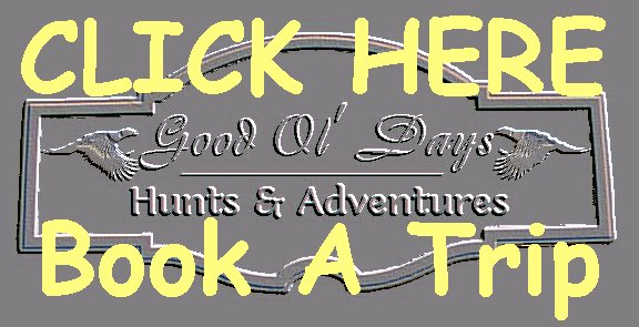 Click here to book a pheasant hunting trip to Good Ol Days Pheasant Hunting
South Dakota, great pheasant hunting in South Dakota, 
some of the best pheasant hunting in eastern South Dakota